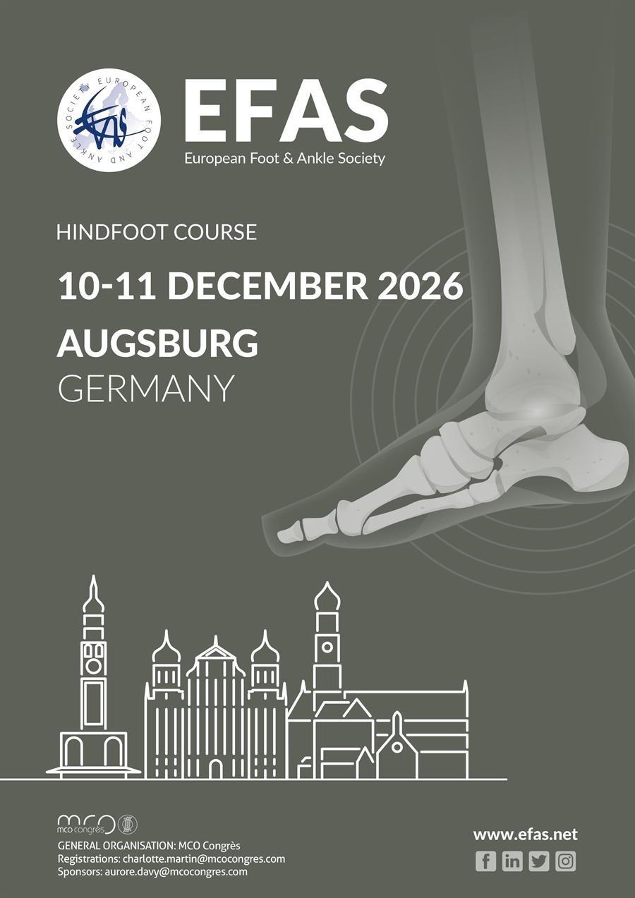 /Portals/0/NADevEventsImages/EFAS-2026-Augsburg_500.jpg