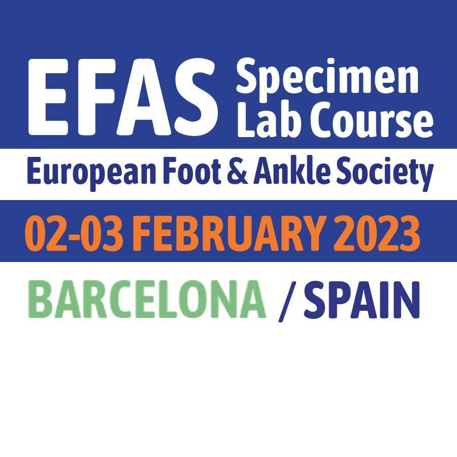 /Portals/0/NADevEventsImages/efas2023barcelona_500.jpg