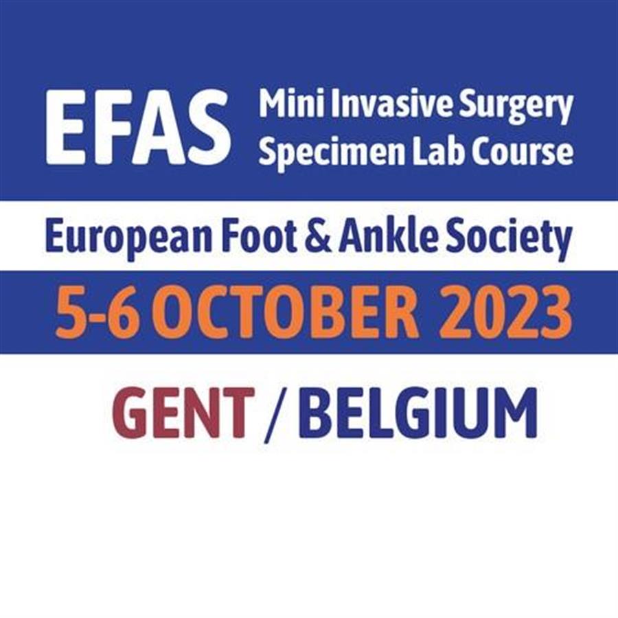 /Portals/0/NADevEventsImages/efas2023gent_500.jpg