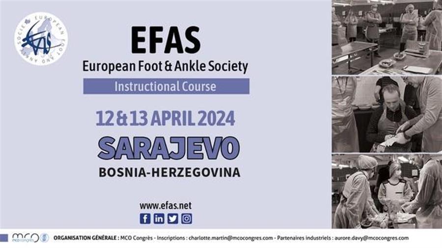 /Portals/0/NADevEventsImages/efas2024sarajevo_500.jpg